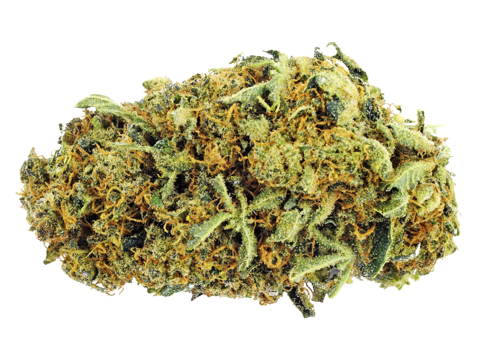 Blueberry Crack