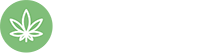 WordPress Blog